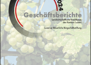 Geschaeftsbericht 24