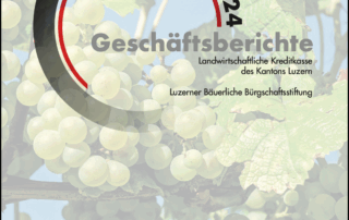 Geschaeftsbericht 24
