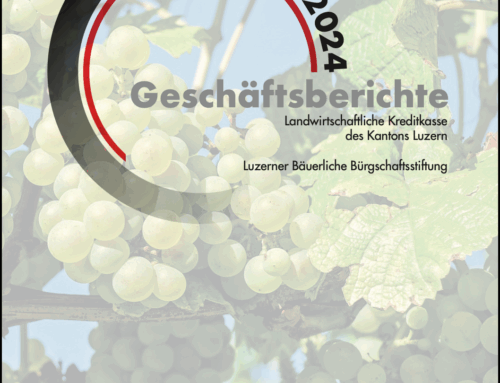 Geschäftsbericht 2024