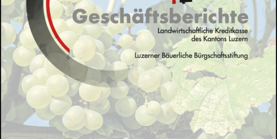 Geschaeftsbericht 24