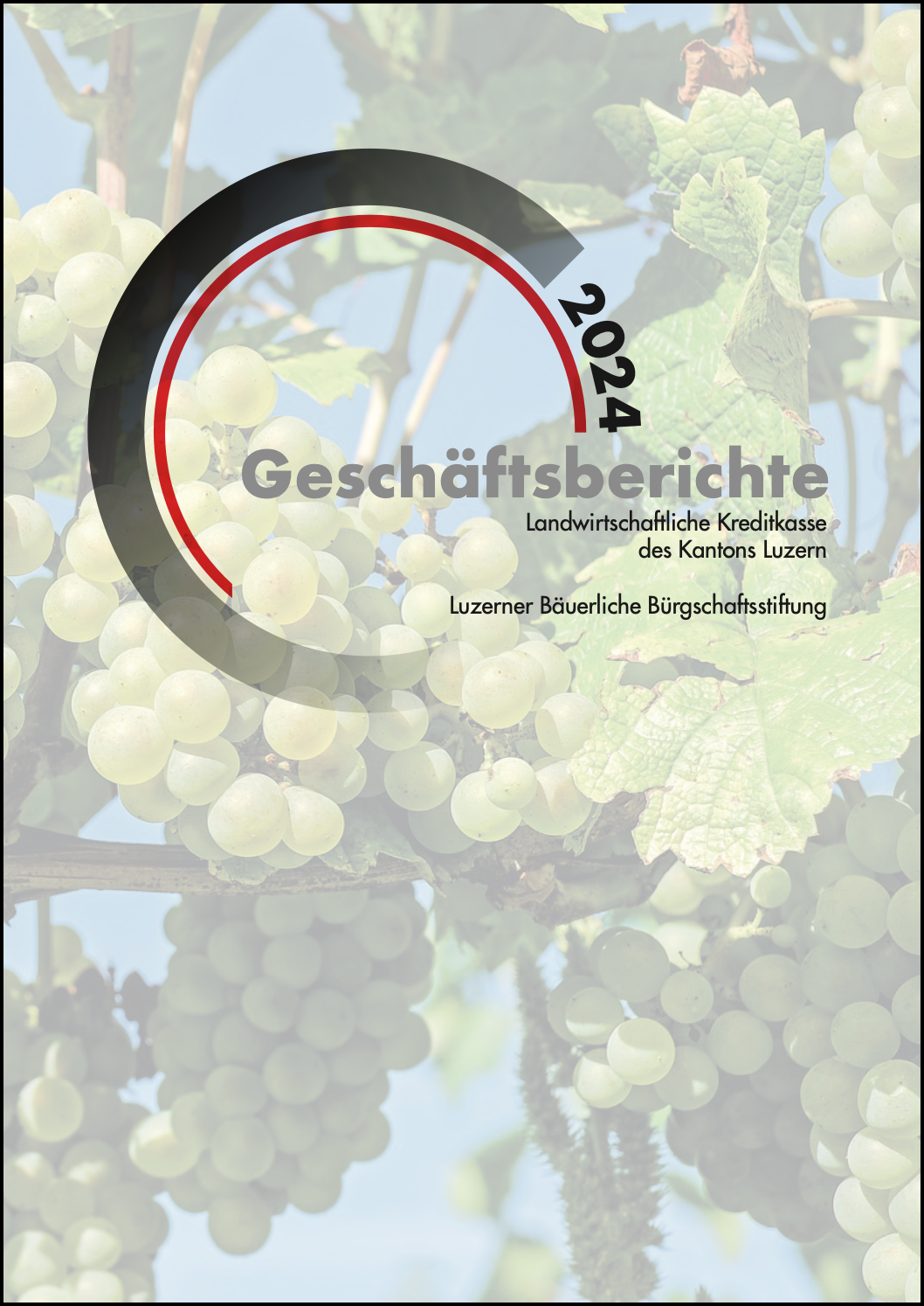 Geschaeftsbericht 24