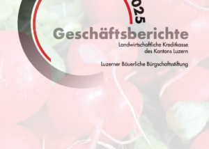 Geschaeftsbericht 25