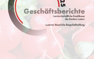 Geschaeftsbericht 25
