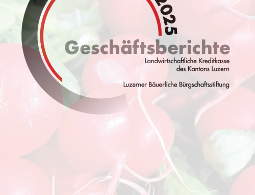 Geschäftsbericht 2025