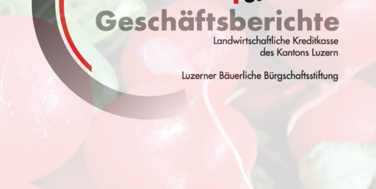 Geschaeftsbericht 25