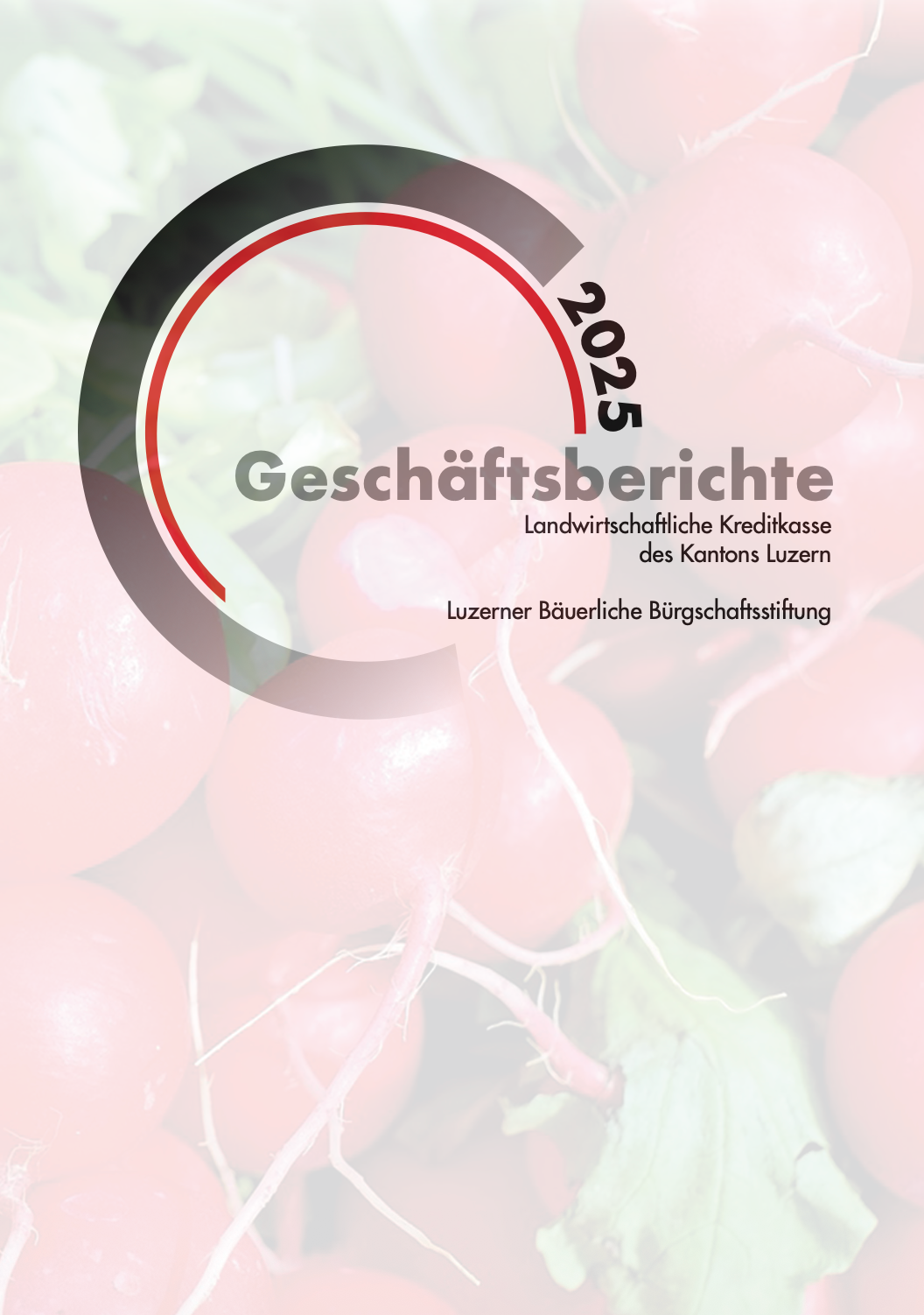 Geschaeftsbericht 25