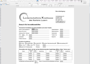 Kreditgesuchsformular Icon