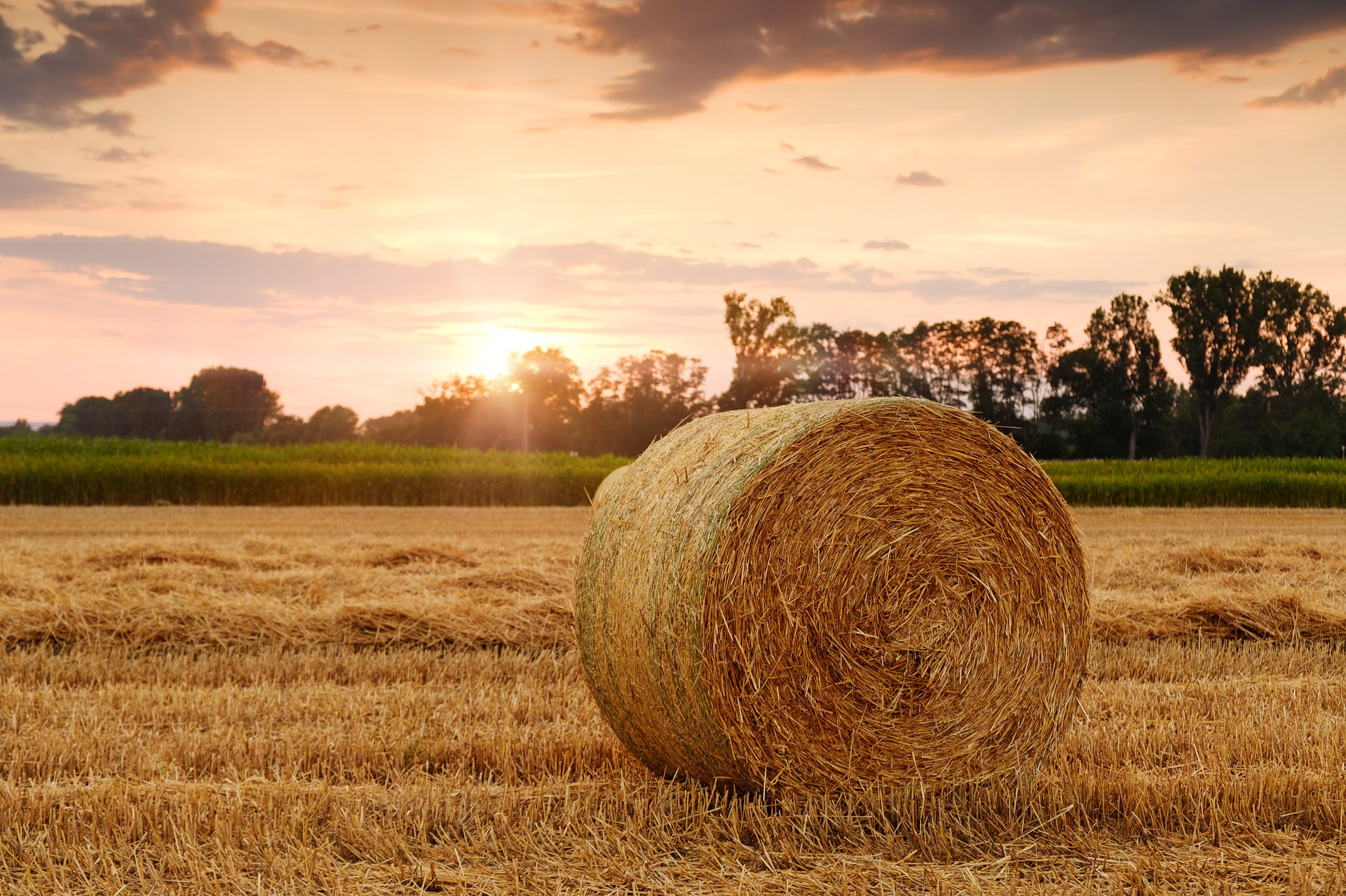 straw bales 3521063 1920